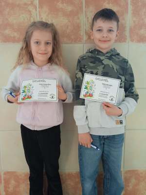 MatekÁSZ vármegyei eredményeink